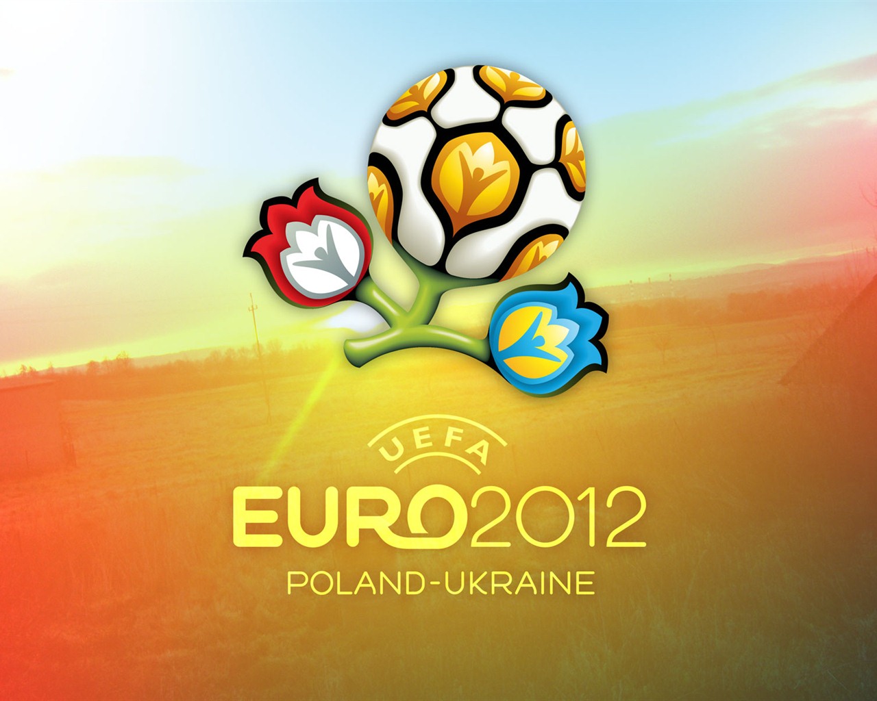 UEFA EURO 2012 欧洲足球锦标赛 高清壁纸(一)1 - 1280x1024
