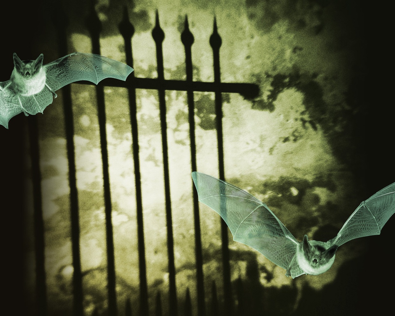 Windows 7 Tapety: Eerie podzim #5 - 1280x1024