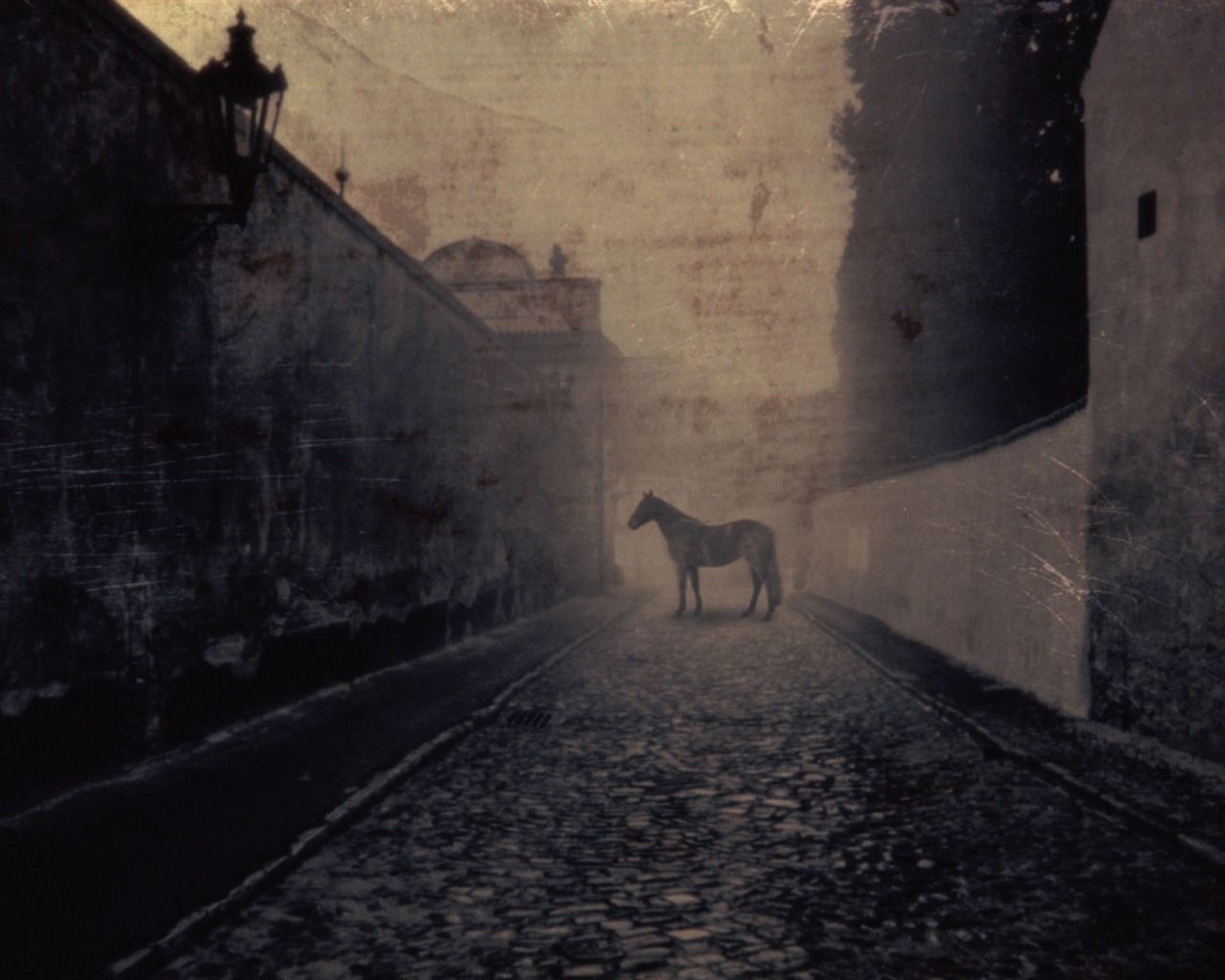 Windows 7 Tapety: Eerie podzim #12 - 1280x1024