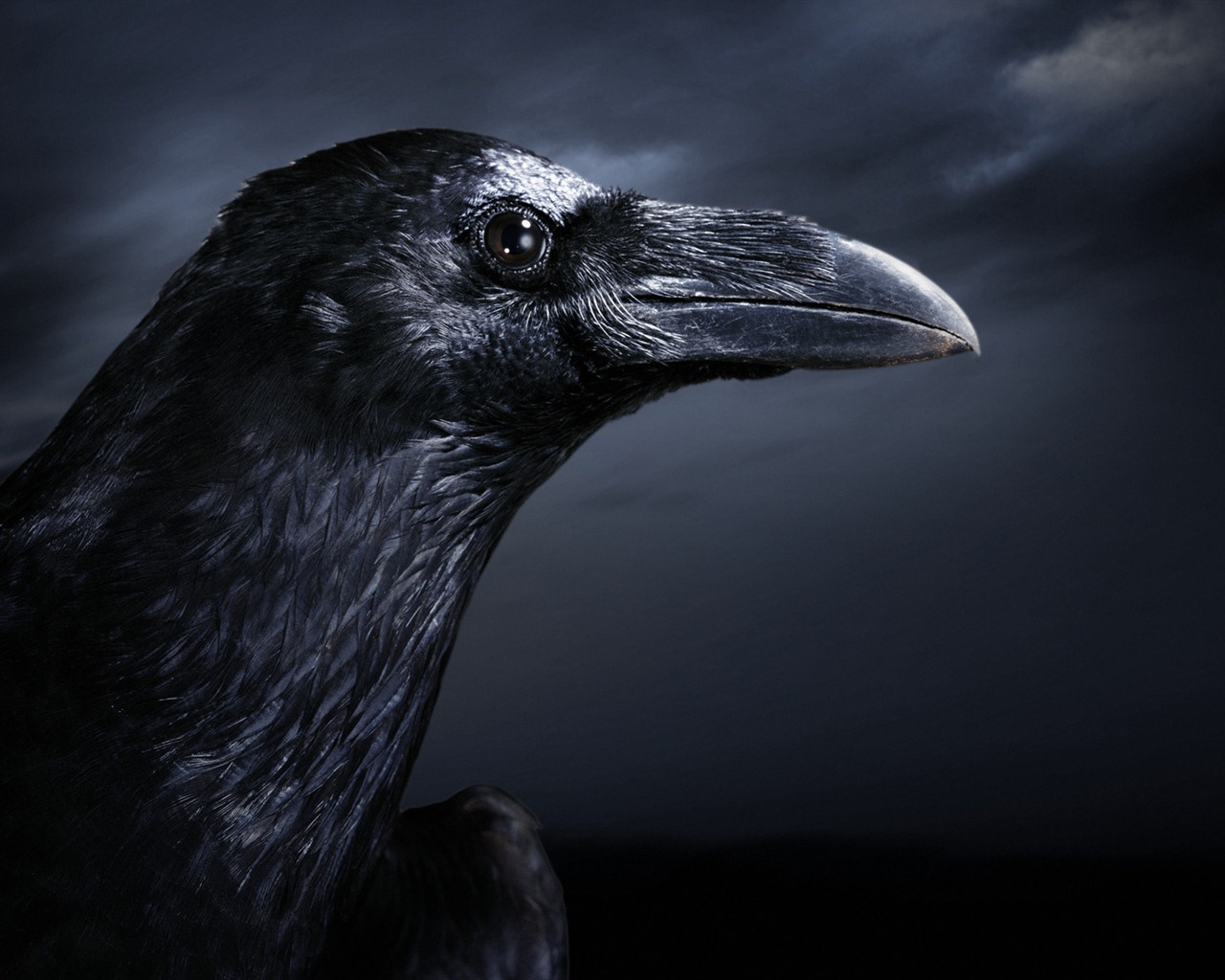 Windows 7 Tapety: Eerie podzim #13 - 1280x1024