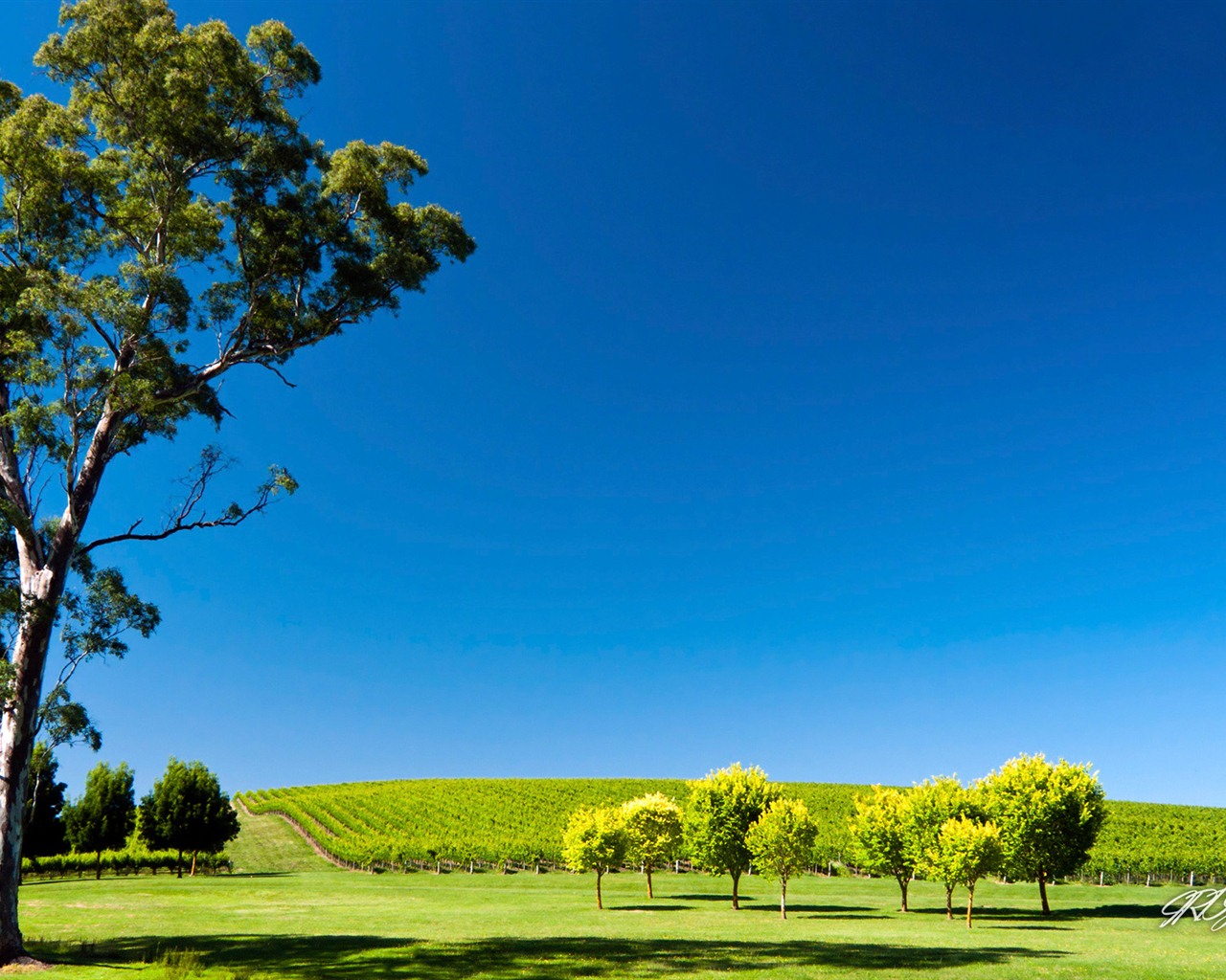 Hermosos paisajes de Australia fondos de pantalla de alta definición #8 - 1280x1024