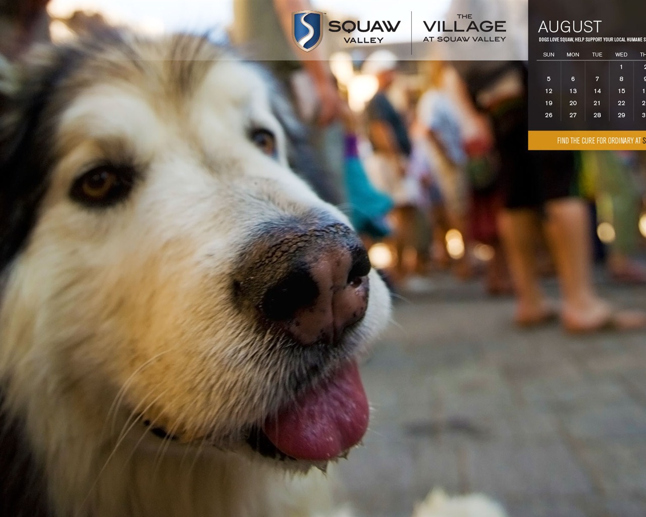 August 2012 Kalender Wallpapers (1) #3 - 1280x1024