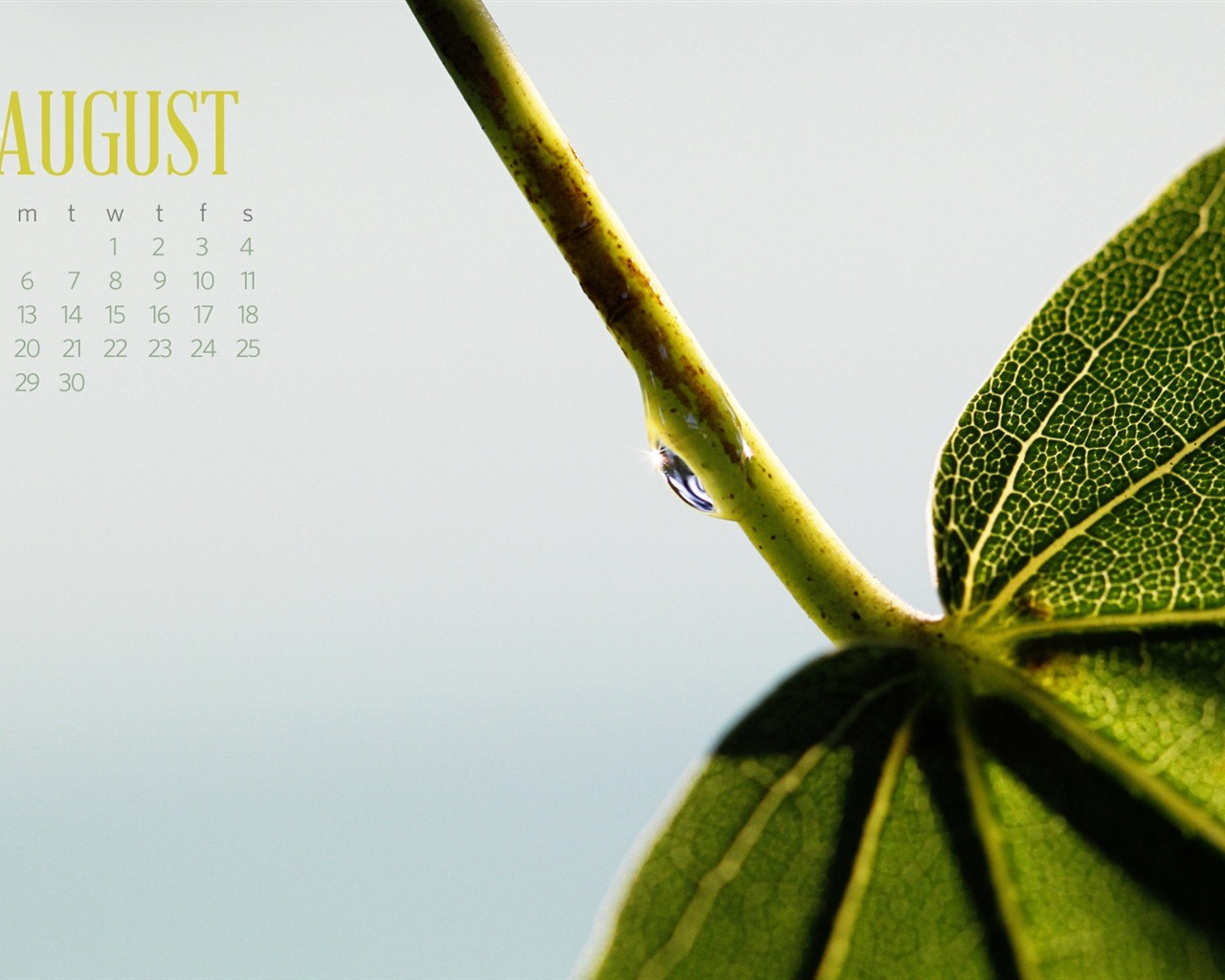 August 2012 Calendar wallpapers (2) #7 - 1280x1024