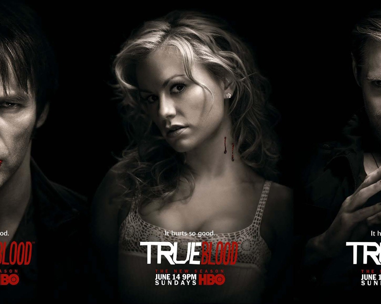 True Blood 真爱如血 电视剧高清壁纸5 - 1280x1024