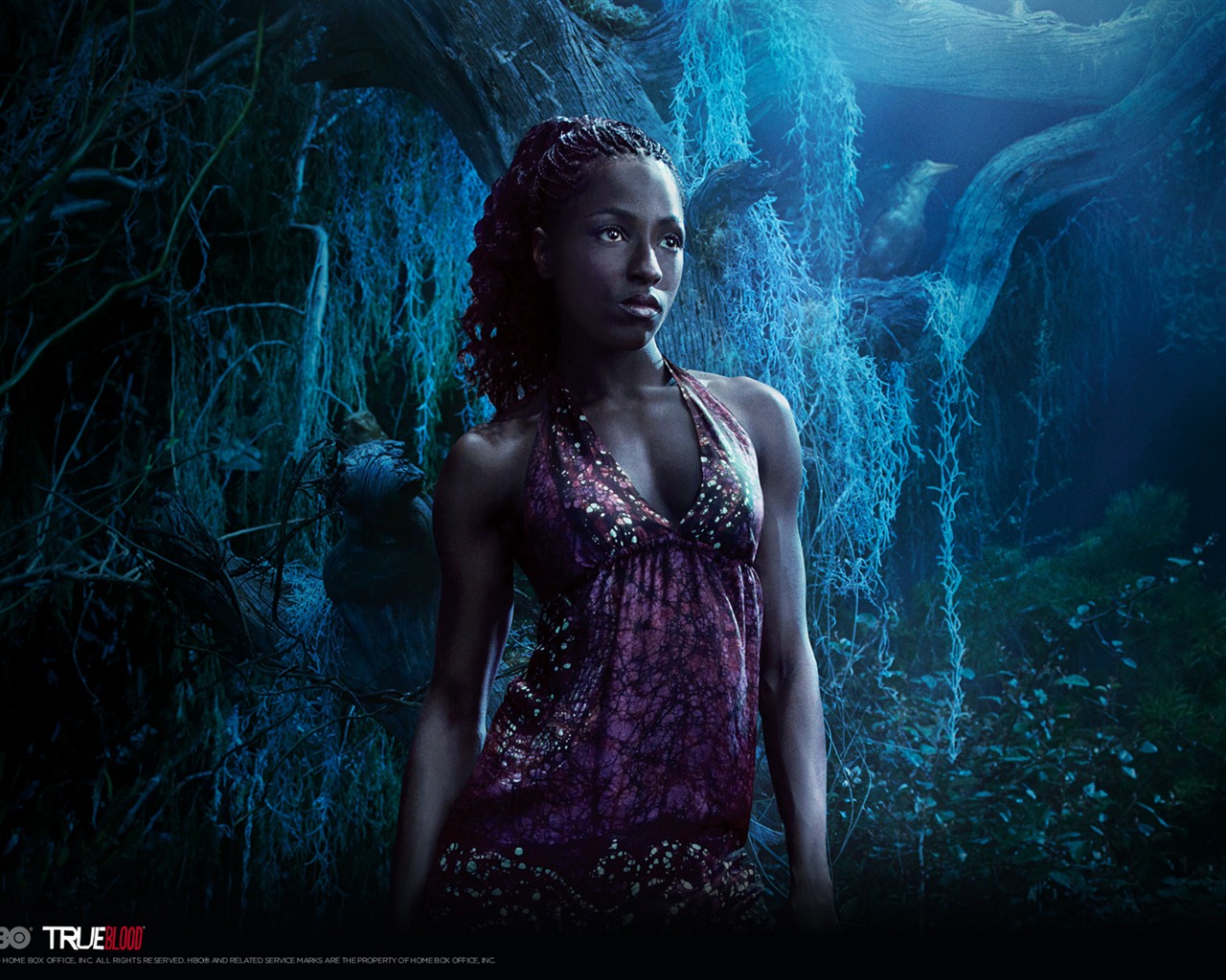 True Blood TV film HD tapety na plochu #11 - 1280x1024