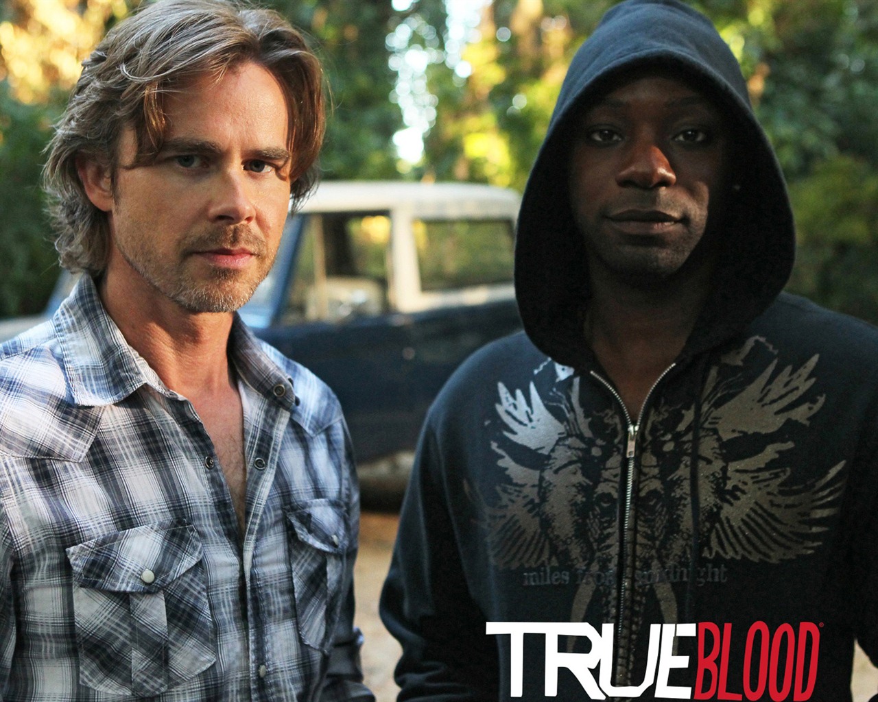 True Blood TV film HD tapety na plochu #19 - 1280x1024