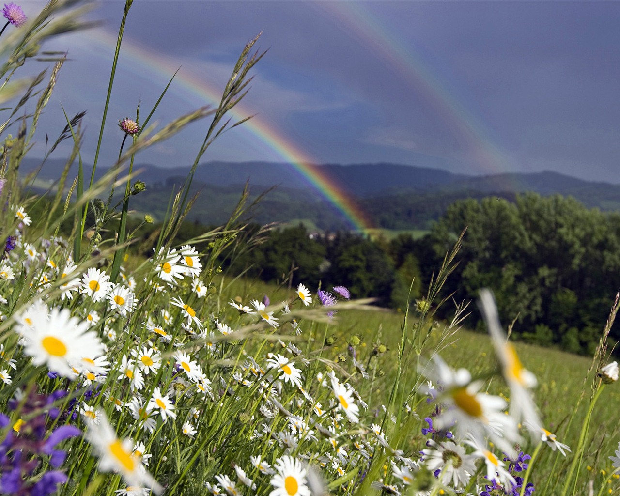 Windows 7 Wallpapers: Arco iris #9 - 1280x1024