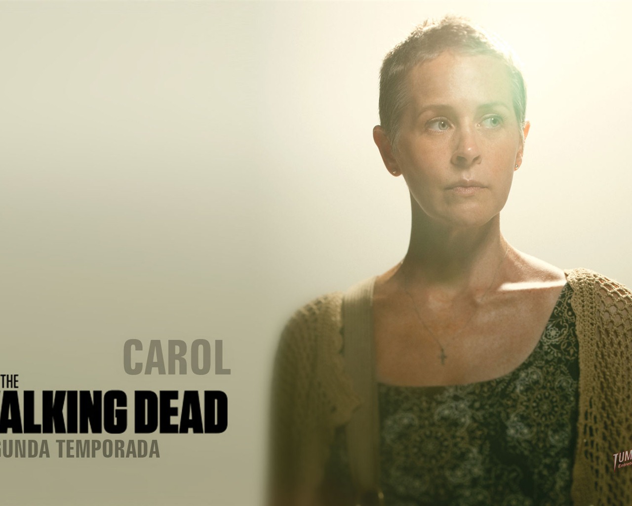 The Walking Dead HD Tapety na plochu #21 - 1280x1024