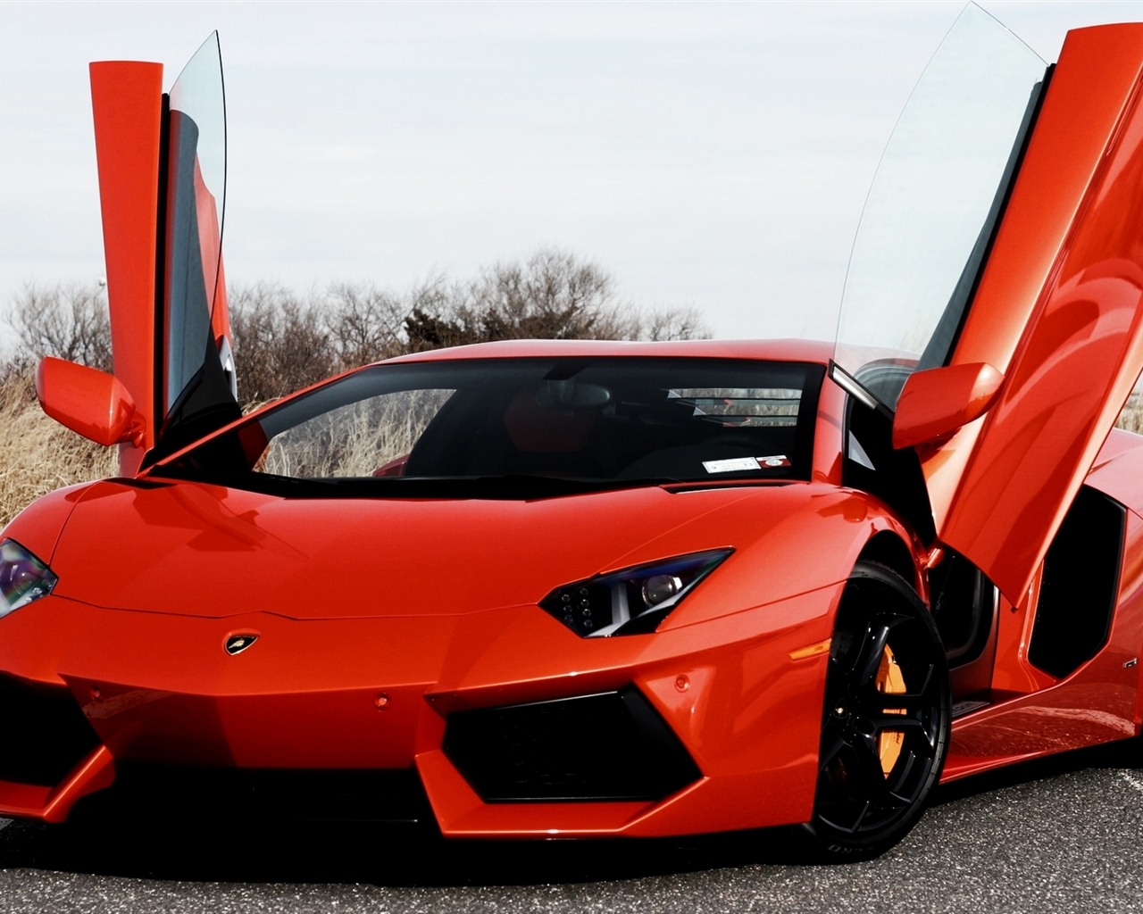 2012 Lamborghini Aventador LP700-4 HD wallpapers #23 - 1280x1024