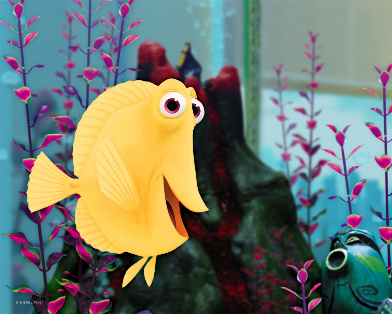 Finding Nemo 3D 海底總動員3D 2012高清壁紙 #4 - 1280x1024