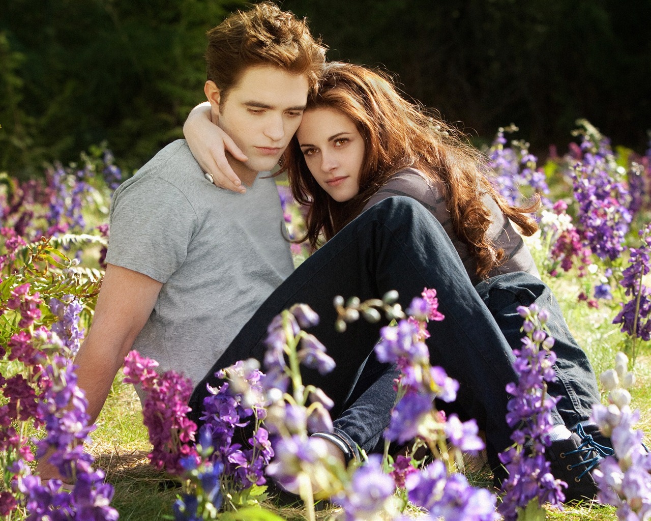 The Twilight Saga: Breaking Dawn 暮光之城4：破曉高清壁紙 #4 - 1280x1024