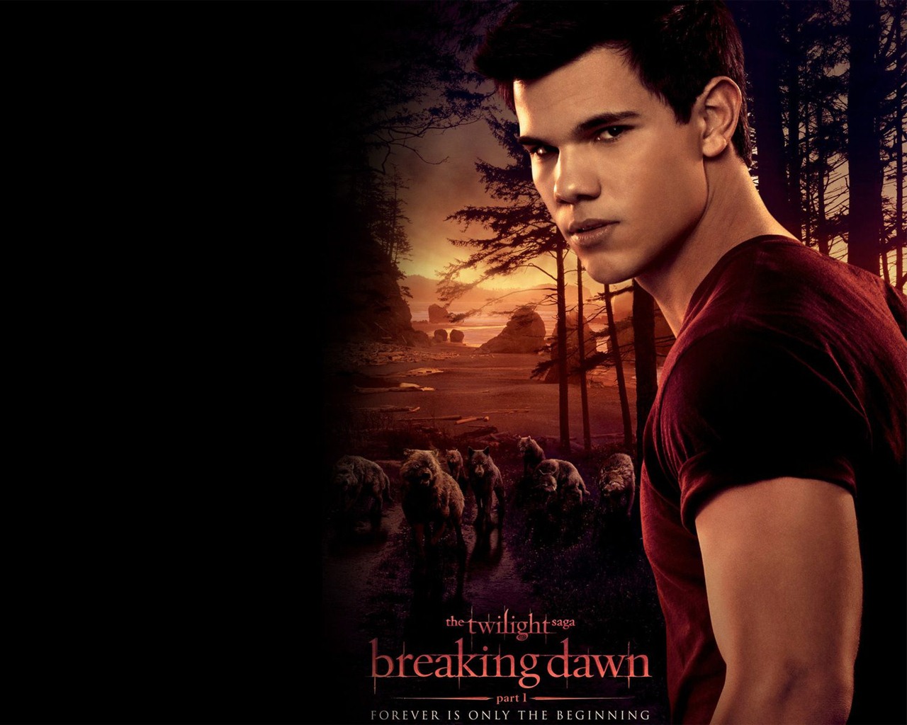 The Twilight Saga: Breaking Dawn HD wallpapers #29 - 1280x1024
