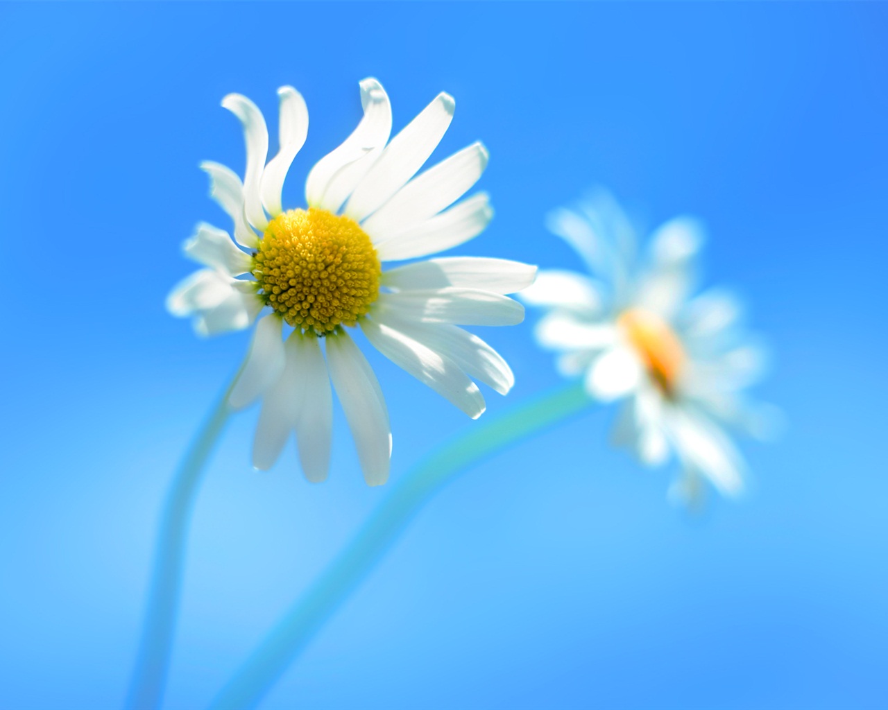 Windows 8 RTM版 官方高清壁紙 #1 - 1280x1024