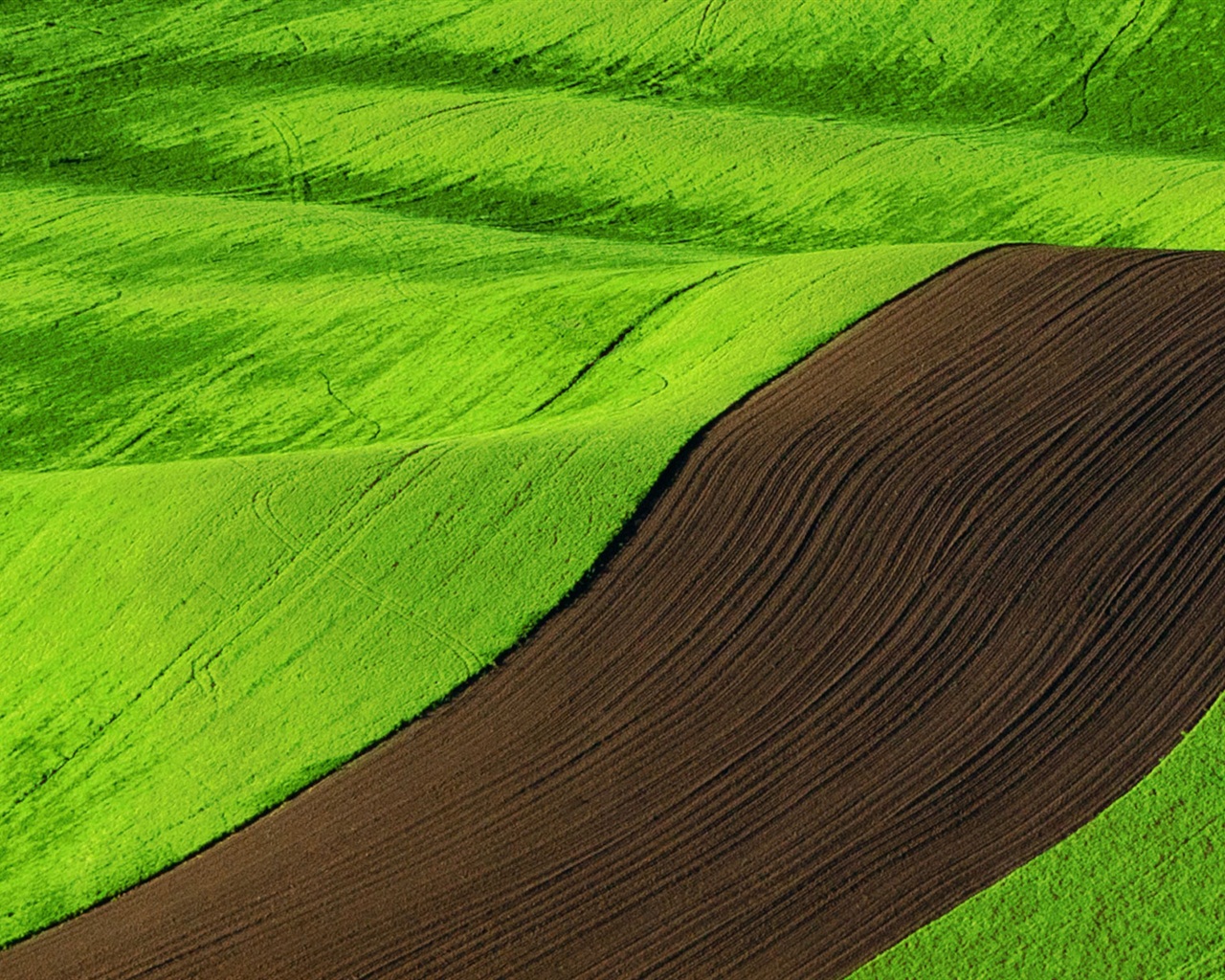 Windows 8 RTM版 官方高清壁紙 #7 - 1280x1024