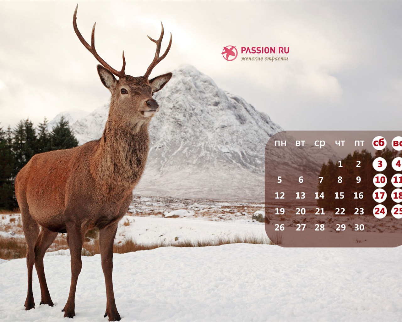 November 2012 Kalender Wallpaper (2) #17 - 1280x1024