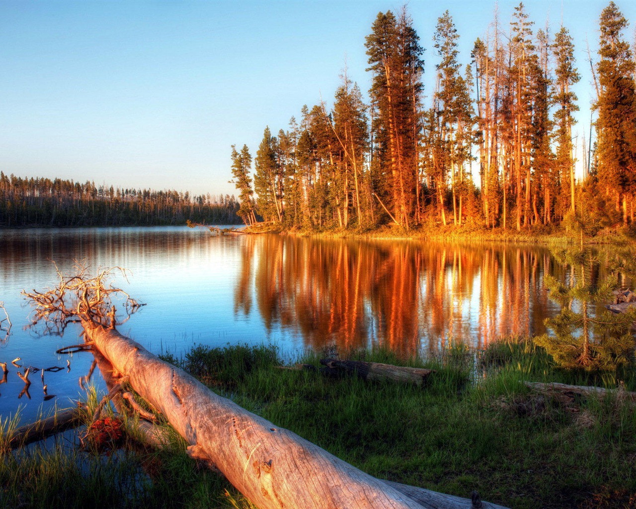 湖、海、木、森、山、美しい風景の壁紙 #1 - 1280x1024