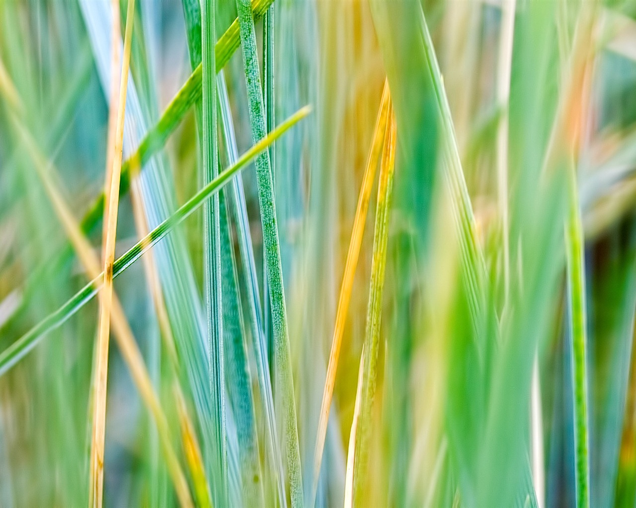 Windows 7 Fondos de pantalla: Naturaleza #10 - 1280x1024