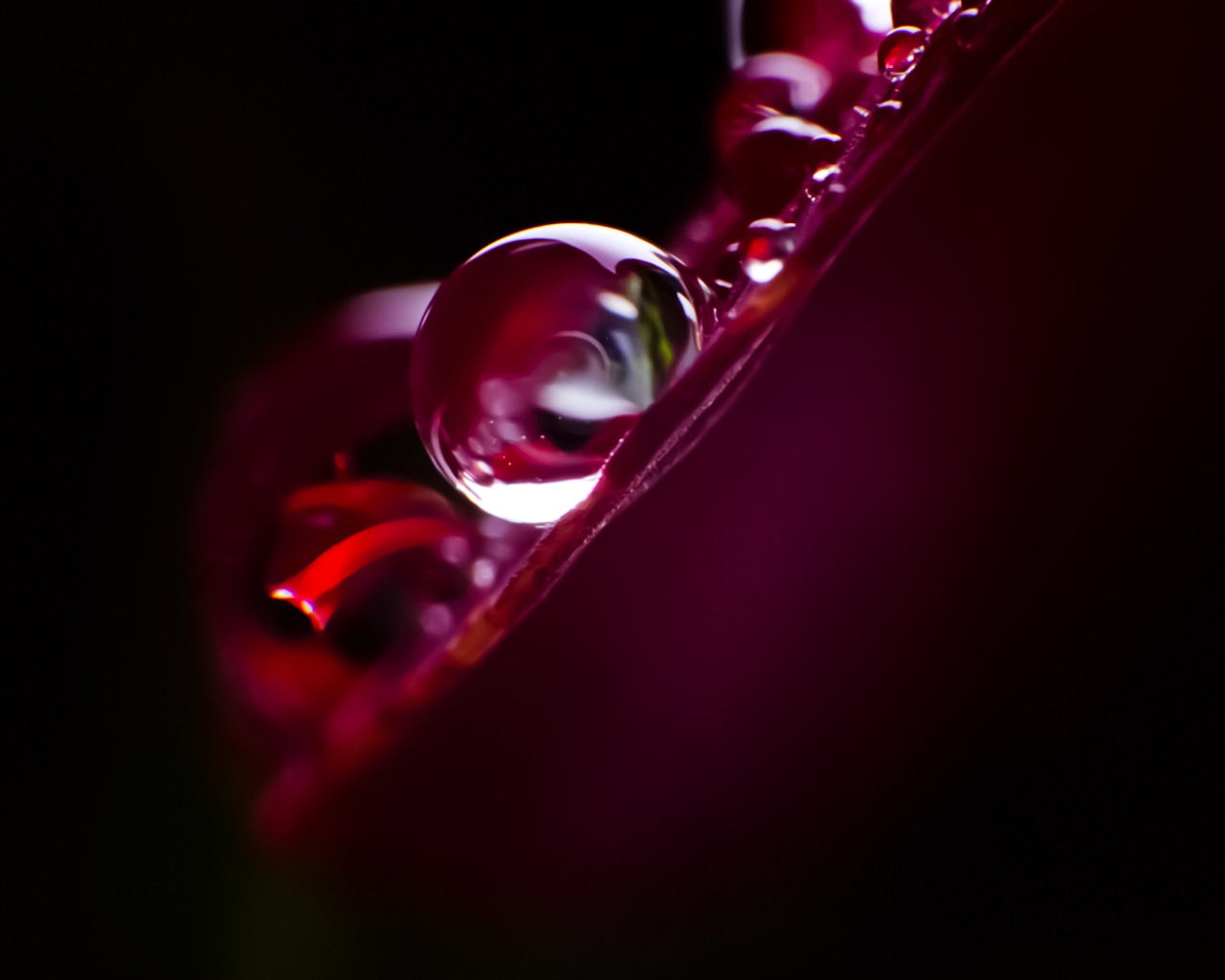 Windows 7 Wallpapers: Vodní kapky #5 - 1280x1024