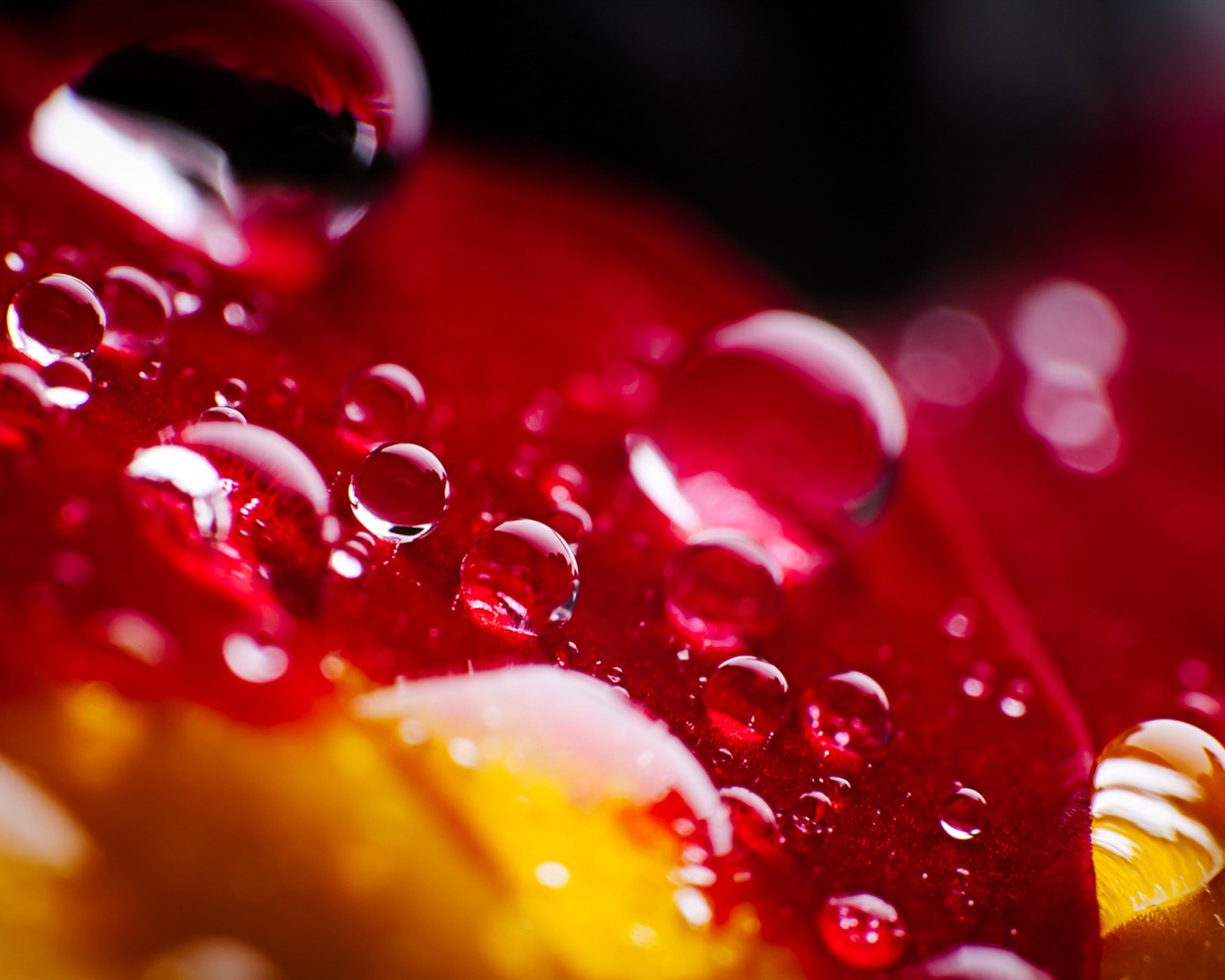 Windows 7 壁紙：水珠 #11 - 1280x1024