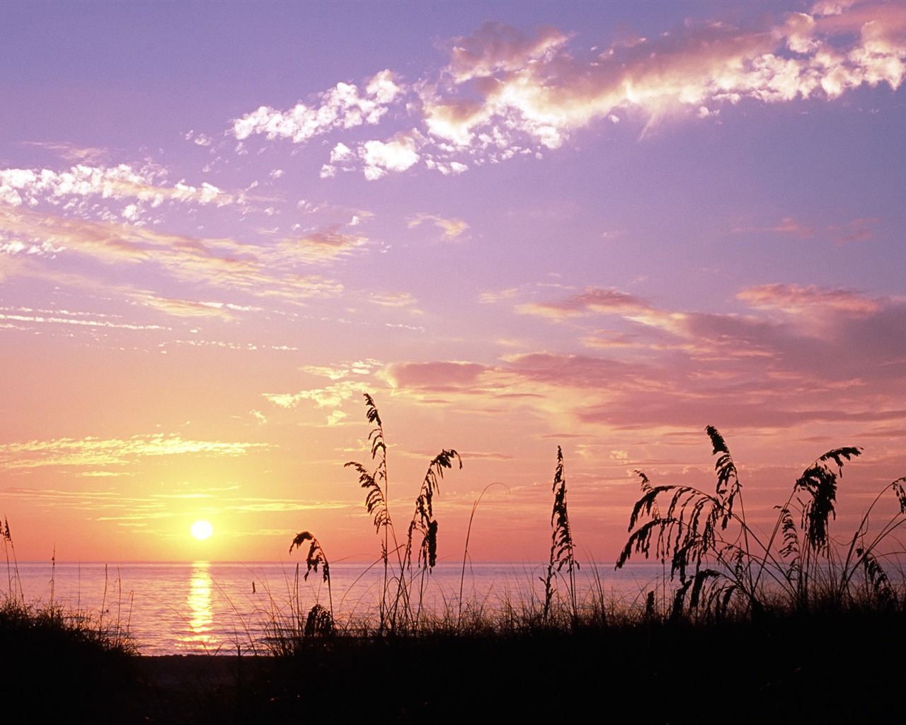 Windows 8の公式壁紙パノラマ、都市の景観、橋、ホライゾン #21 - 1280x1024