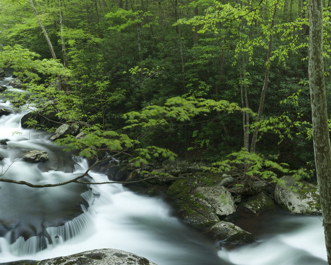 Windows 8の公式パノラマの壁紙、波、森林、雄大な山々 #8 - 1280x1024