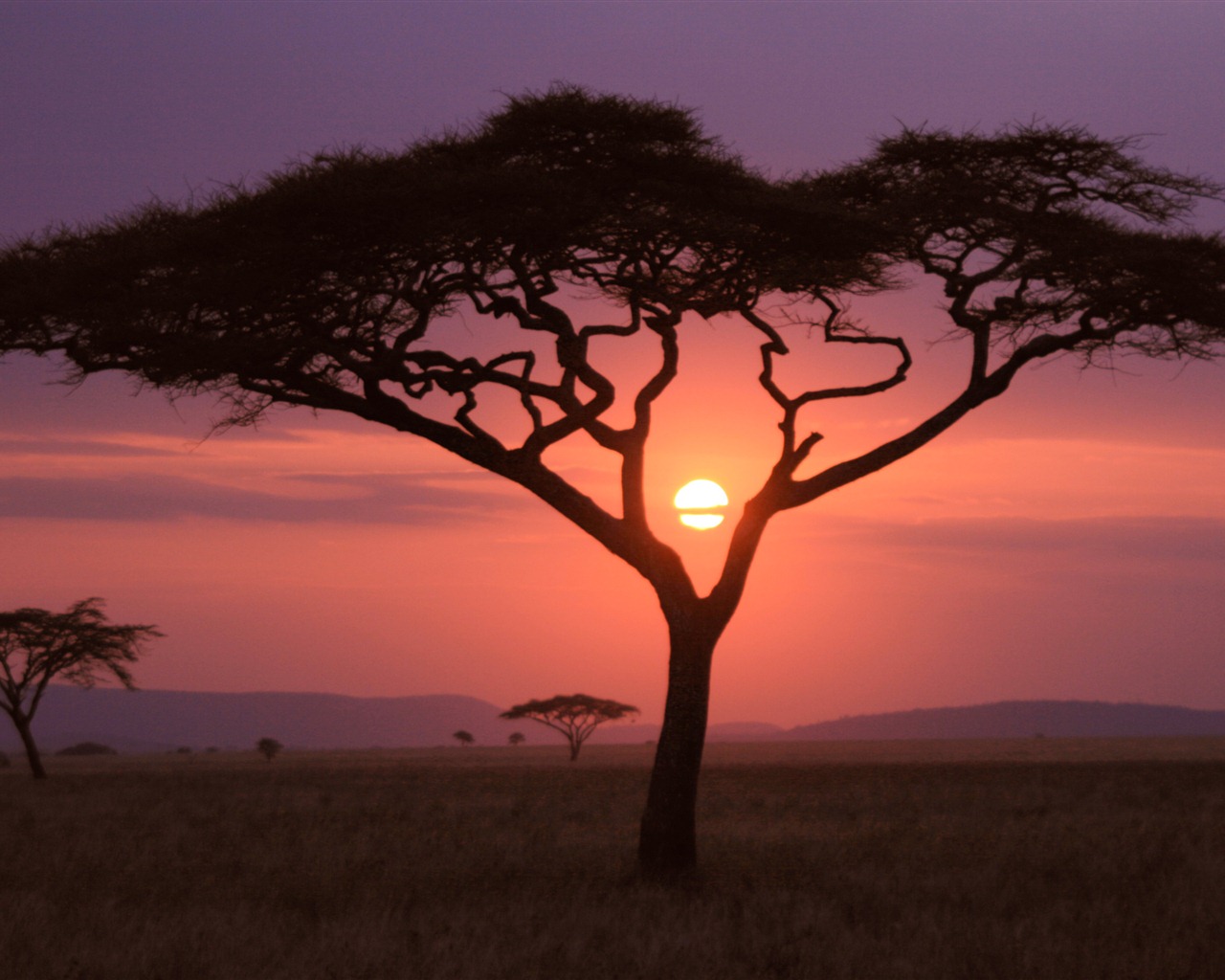 Mac OS X Mountain Lion Apple system hidden HD wallpapers #23 - 1280x1024