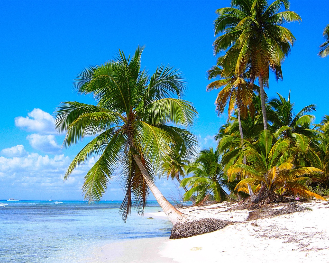 Windows 8 na plochu: Karibik Shores #2 - 1280x1024