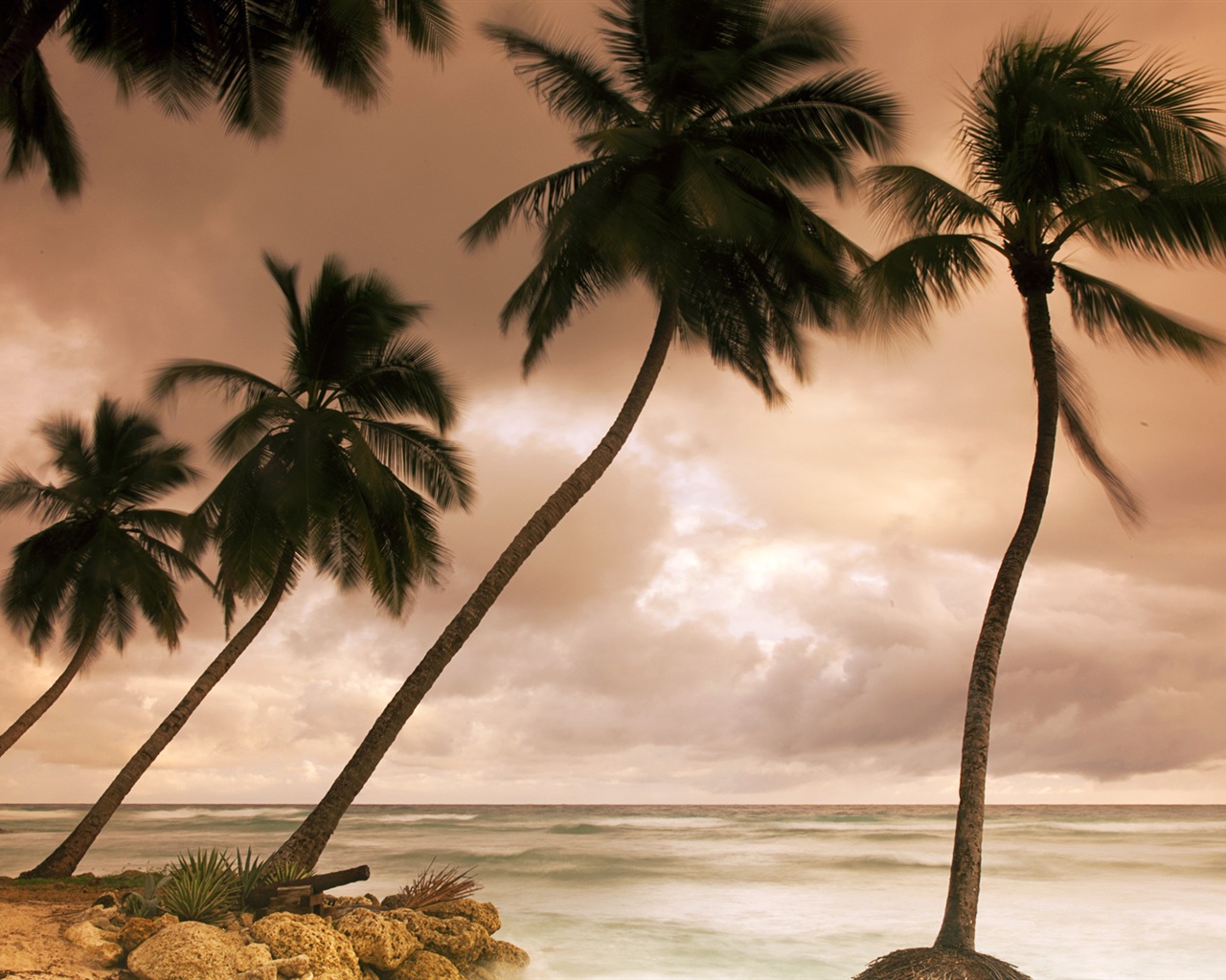 Windows 8: Fonds d'écran Shores Caraïbes #7 - 1280x1024