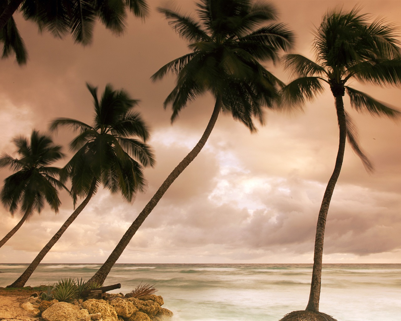 Windows 8 na plochu: Karibik Shores #7 - 1280x1024