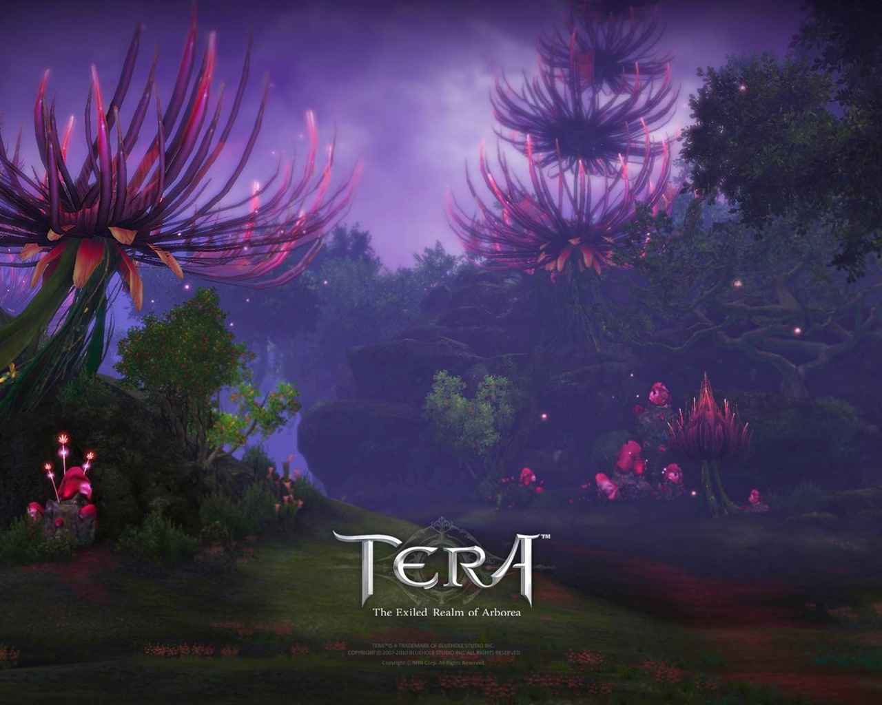 TERA HD fondos de pantalla de juegos #15 - 1280x1024