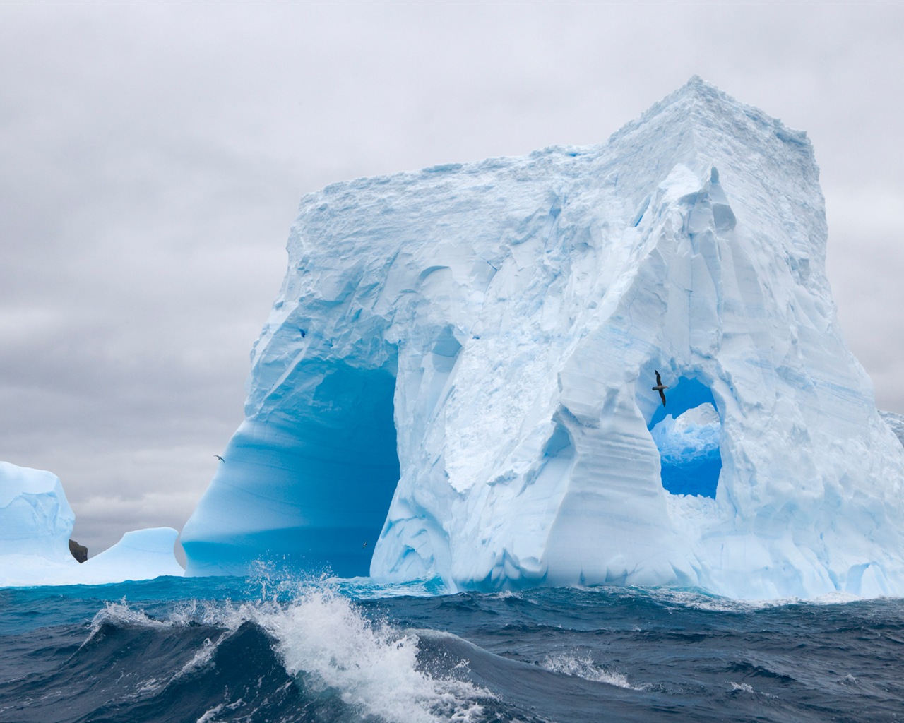 Windows 8 壁纸：南极洲，冰雪风景，南极企鹅7 - 1280x1024
