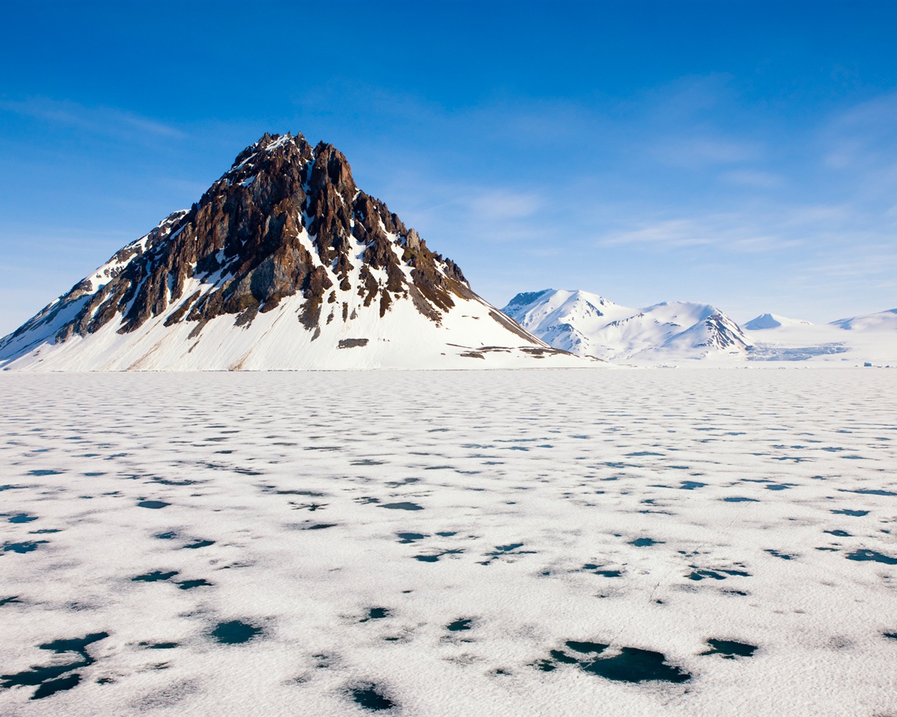 Fonds d'écran Windows 8: l'Arctique, le paysage de nature écologique, animaux arctiques #1 - 1280x1024