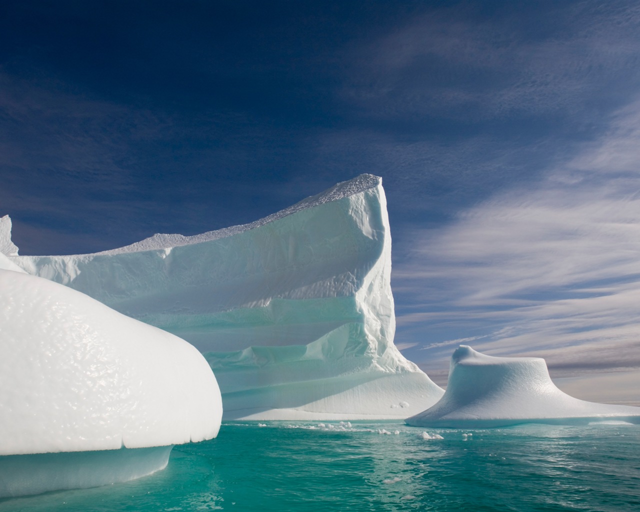 Windows 8 na plochu: Arctic, příroda ekologické krajiny, polární zvířata #14 - 1280x1024