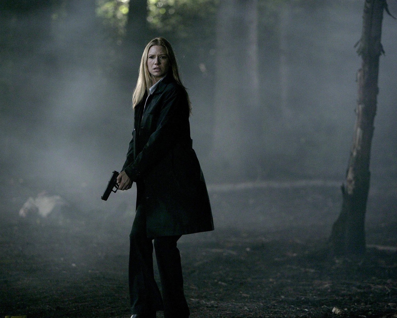 Anna Torv krásné Tapety na plochu #2 - 1280x1024