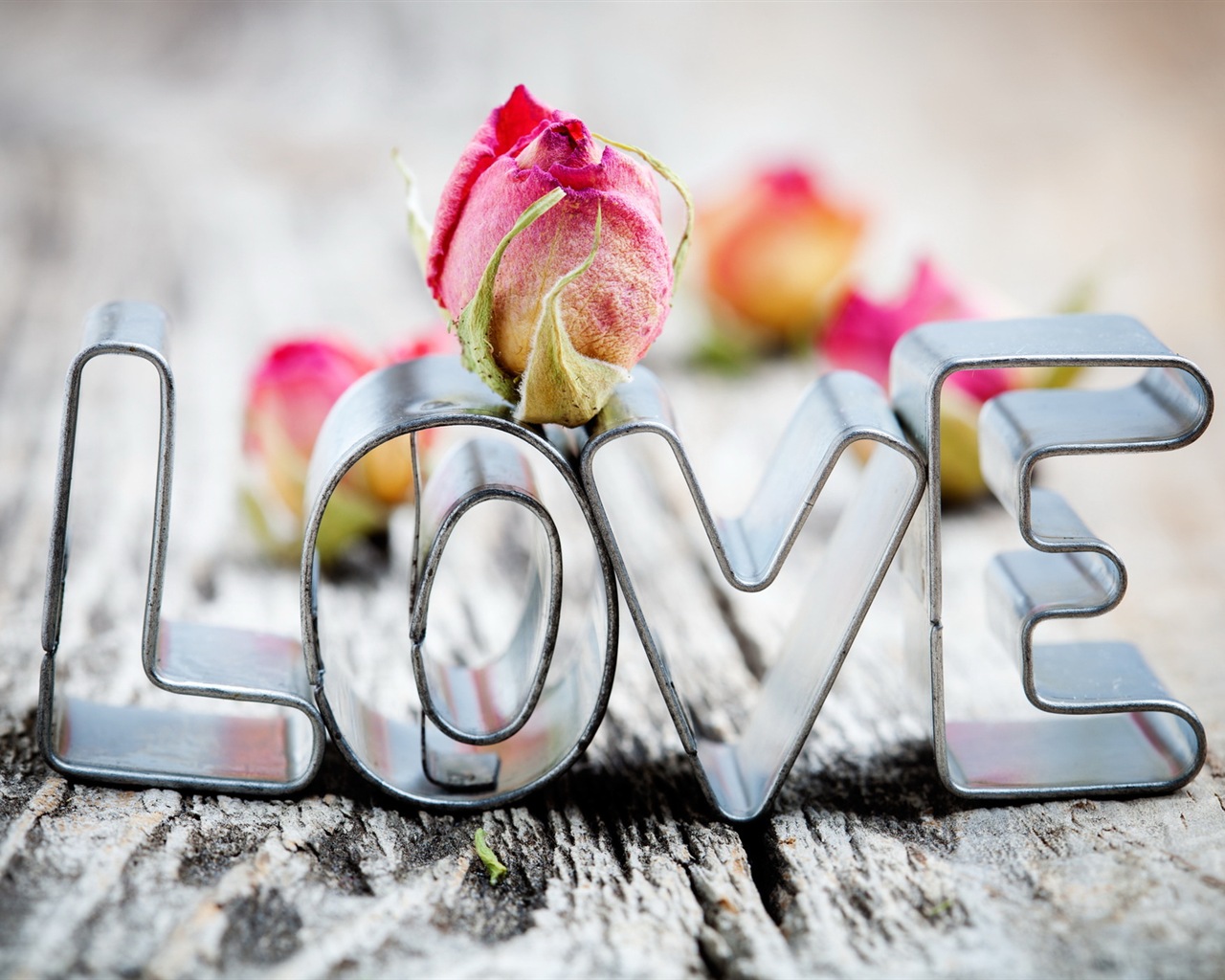 Warm and romantic Valentine's Day HD wallpapers #1 - 1280x1024