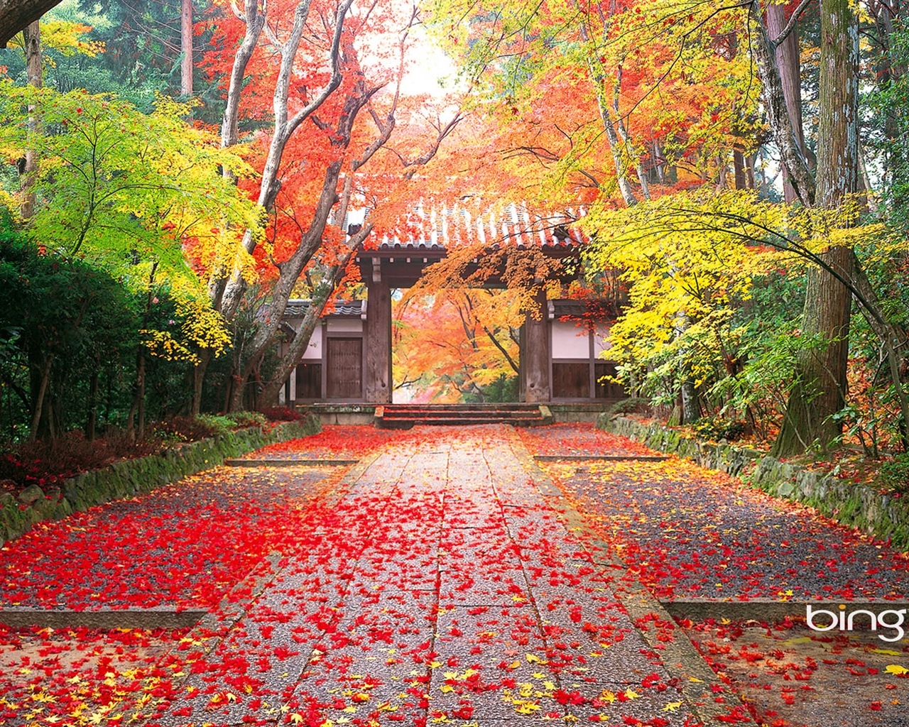 Microsoft Bing écran HD: Japonais papier peint thème du paysage #1 - 1280x1024