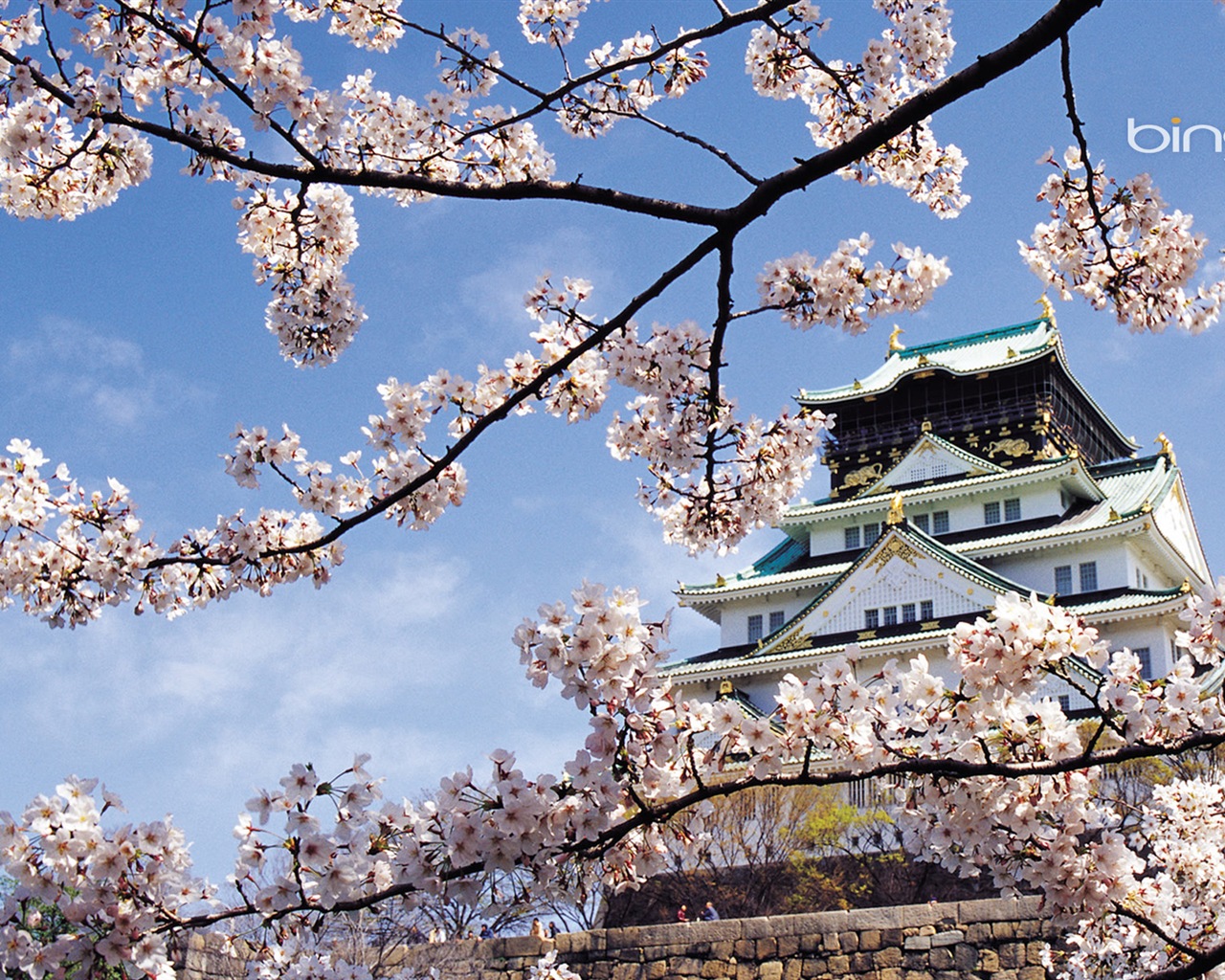 Microsoft Bing HD Wallpapers: fondos de escritorio de paisaje japonés tema #6 - 1280x1024