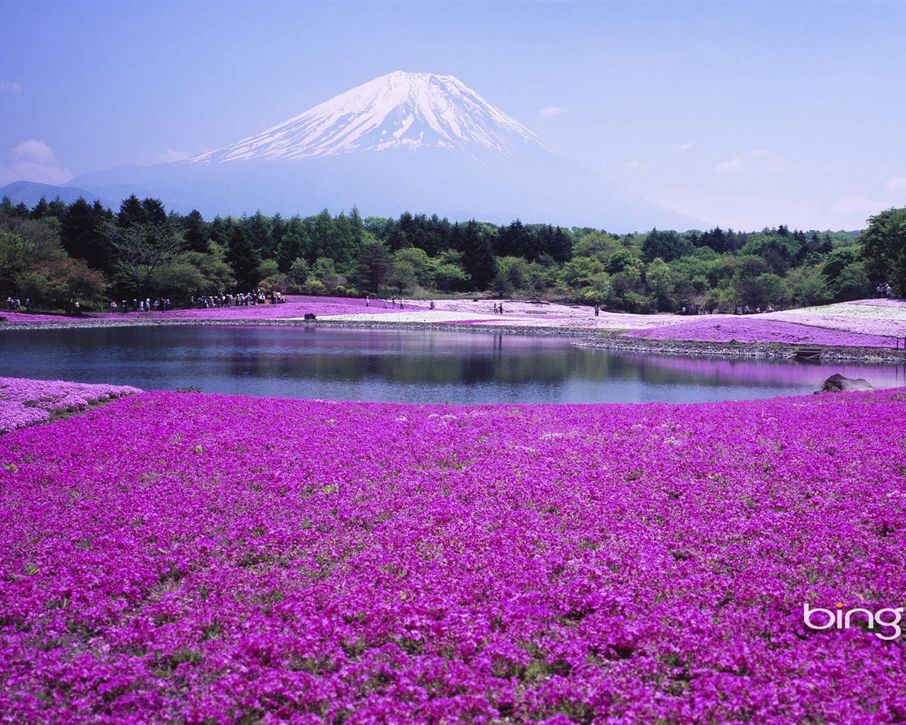 Microsoft Bing écran HD: Japonais papier peint thème du paysage #11 - 1280x1024