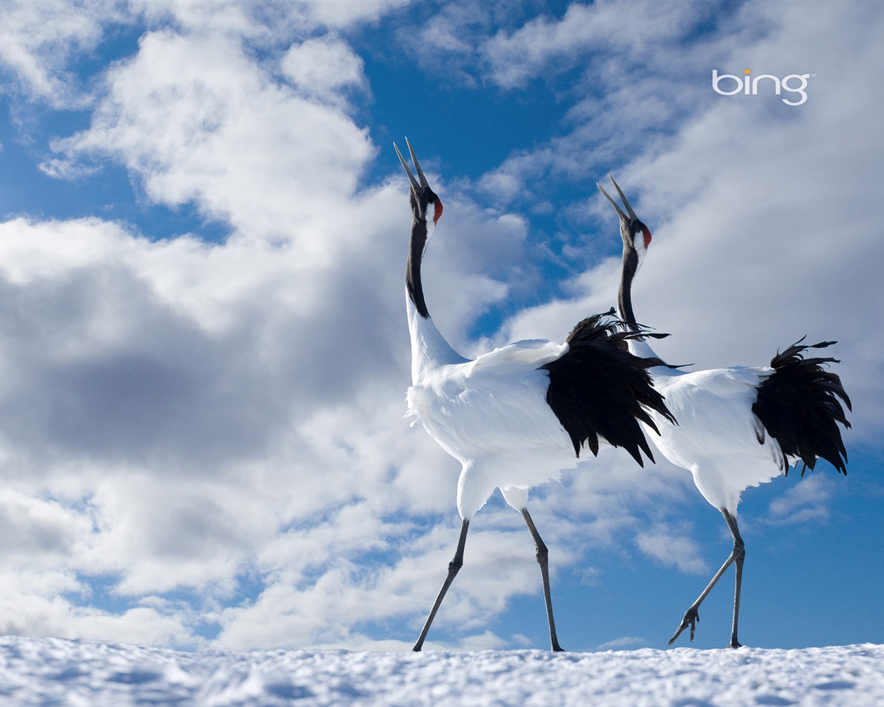 Microsoft Bing HD Tapety na plochu: Japonská krajina téma wallpaper #17 - 1280x1024
