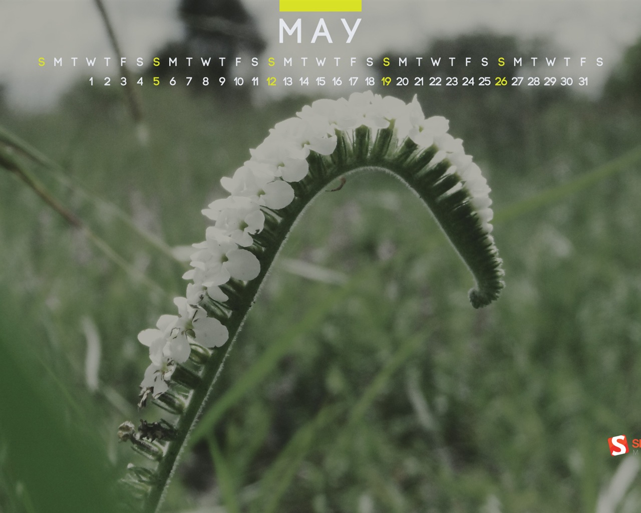 May 2013 calendar wallpaper (2) #13 - 1280x1024