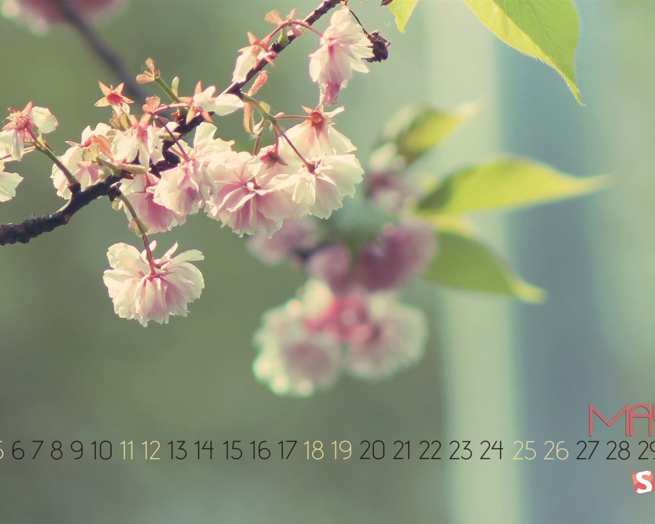 2013年5月 月曆壁紙(二) #19 - 1280x1024