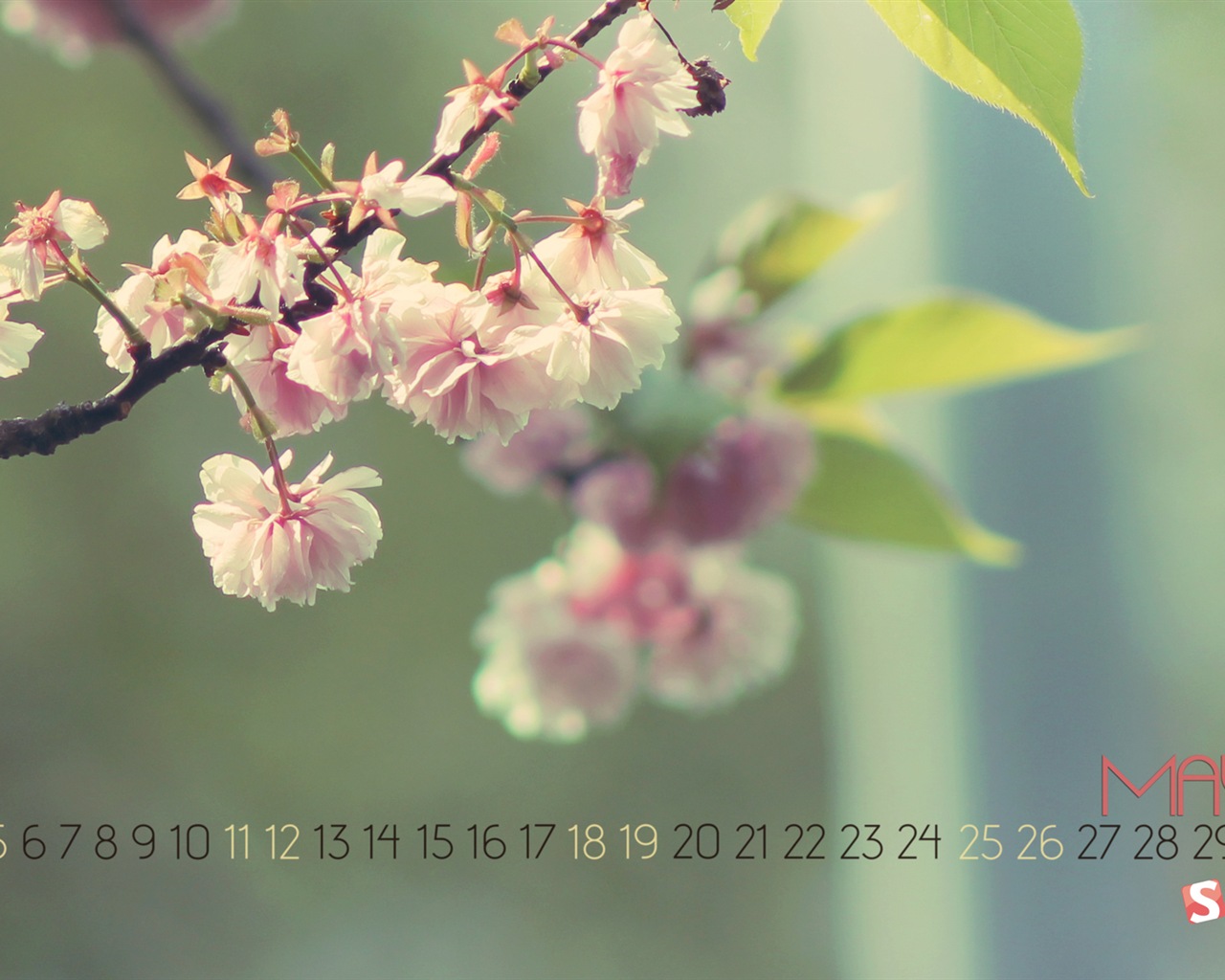 May 2013 calendar wallpaper (2) #19 - 1280x1024