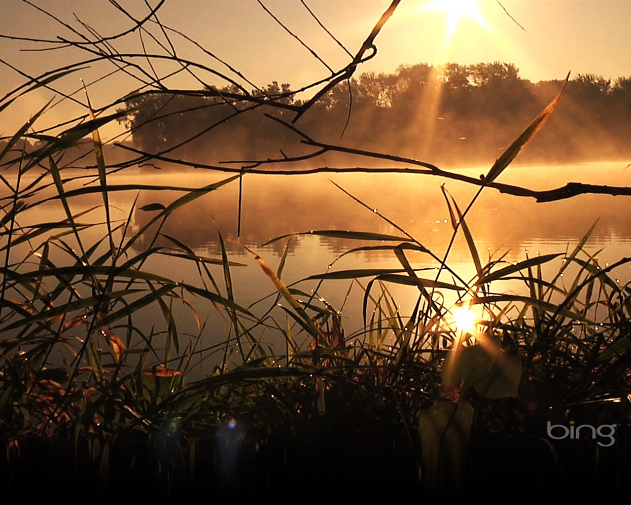 2013 oficiální Bing téma tapety #6 - 1280x1024