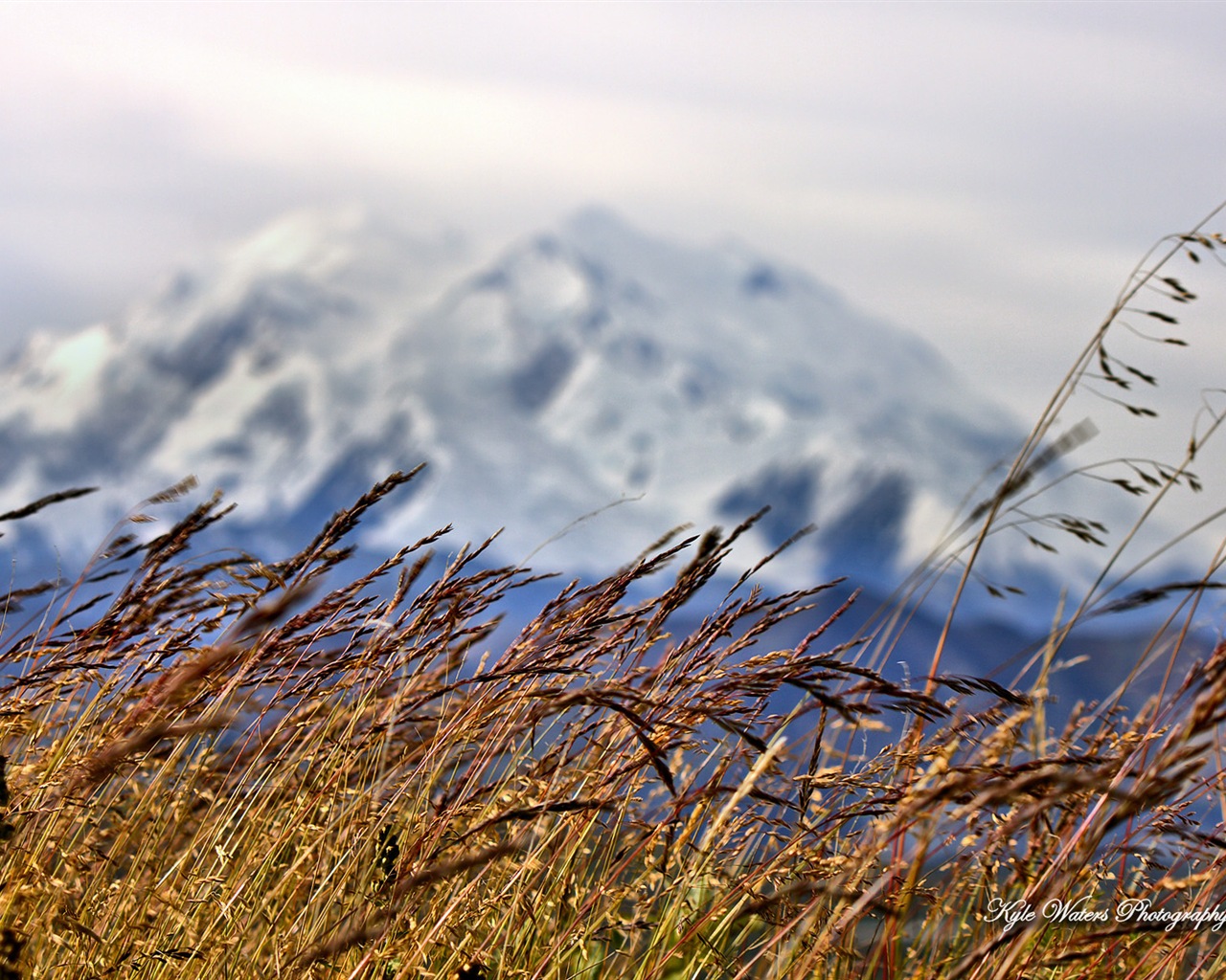 Windows 8 theme wallpaper: Alaska Scenery #15 - 1280x1024