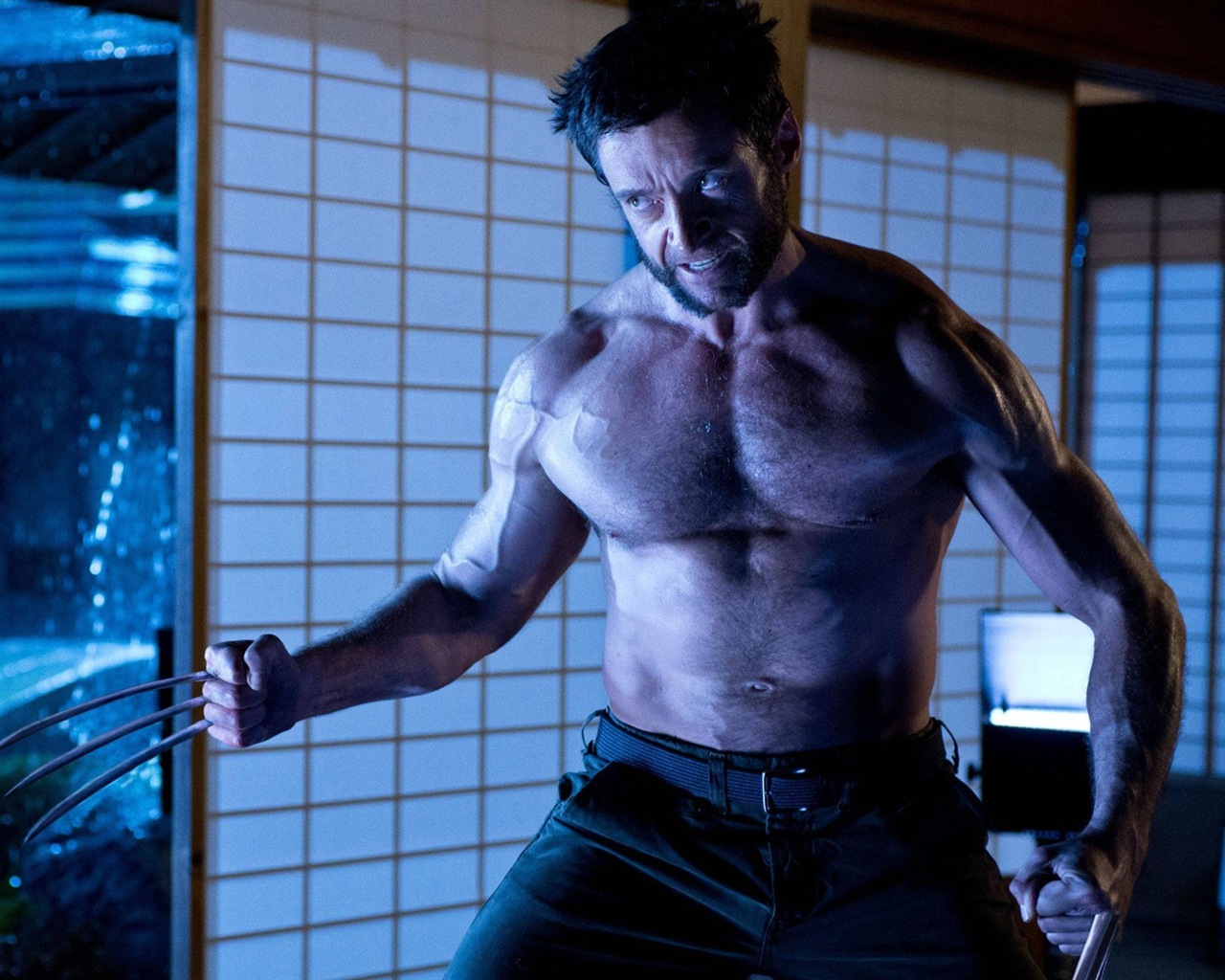 The Wolverine 2013 金剛狼2 高清壁紙 #6 - 1280x1024