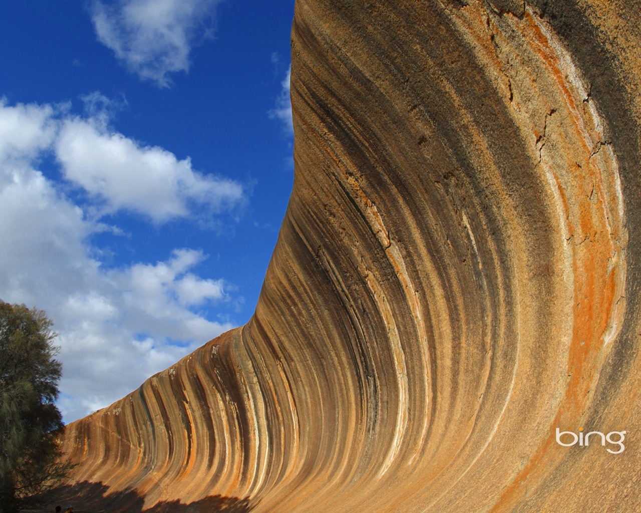 Bing Australie thème fonds d'écran HD, animaux, nature, bâtiments #3 - 1280x1024