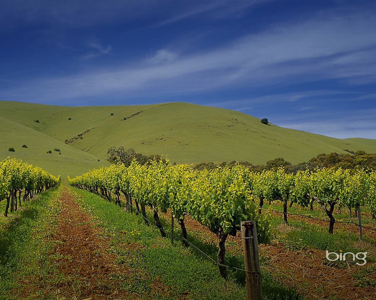 Microsoft Bing thème fonds d'écran HD, l'Australie, ville, paysage, animaux #6 - 1280x1024