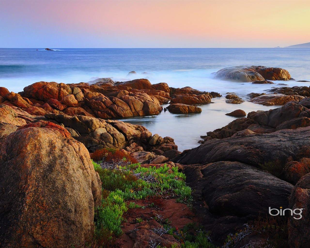 Microsoft Bing thème fonds d'écran HD, l'Australie, ville, paysage, animaux #7 - 1280x1024