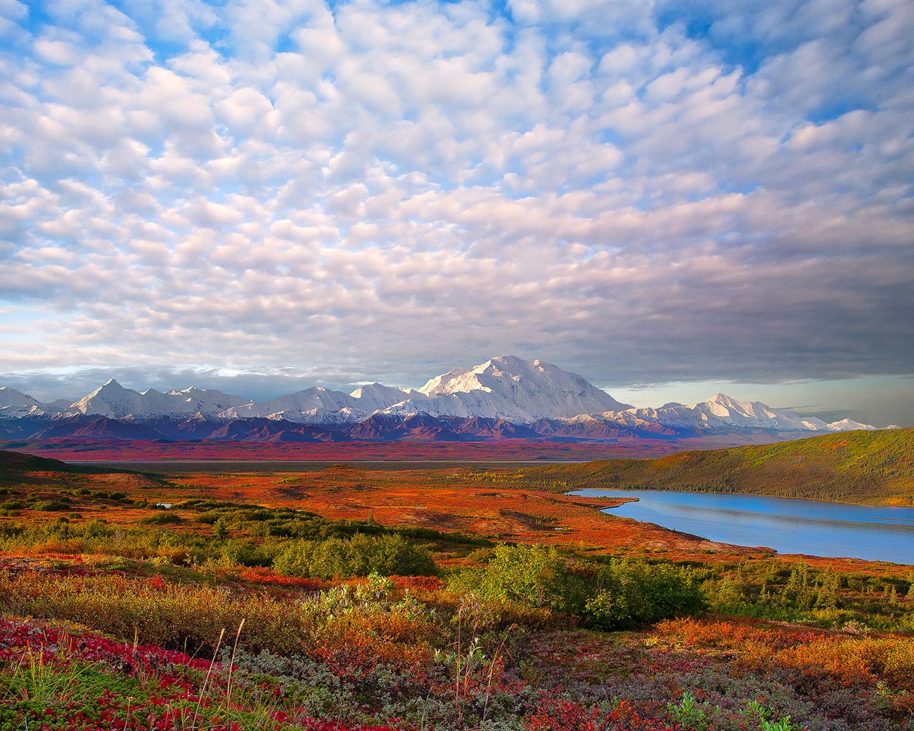 Denali National Park HD Tapety #1 - 1280x1024