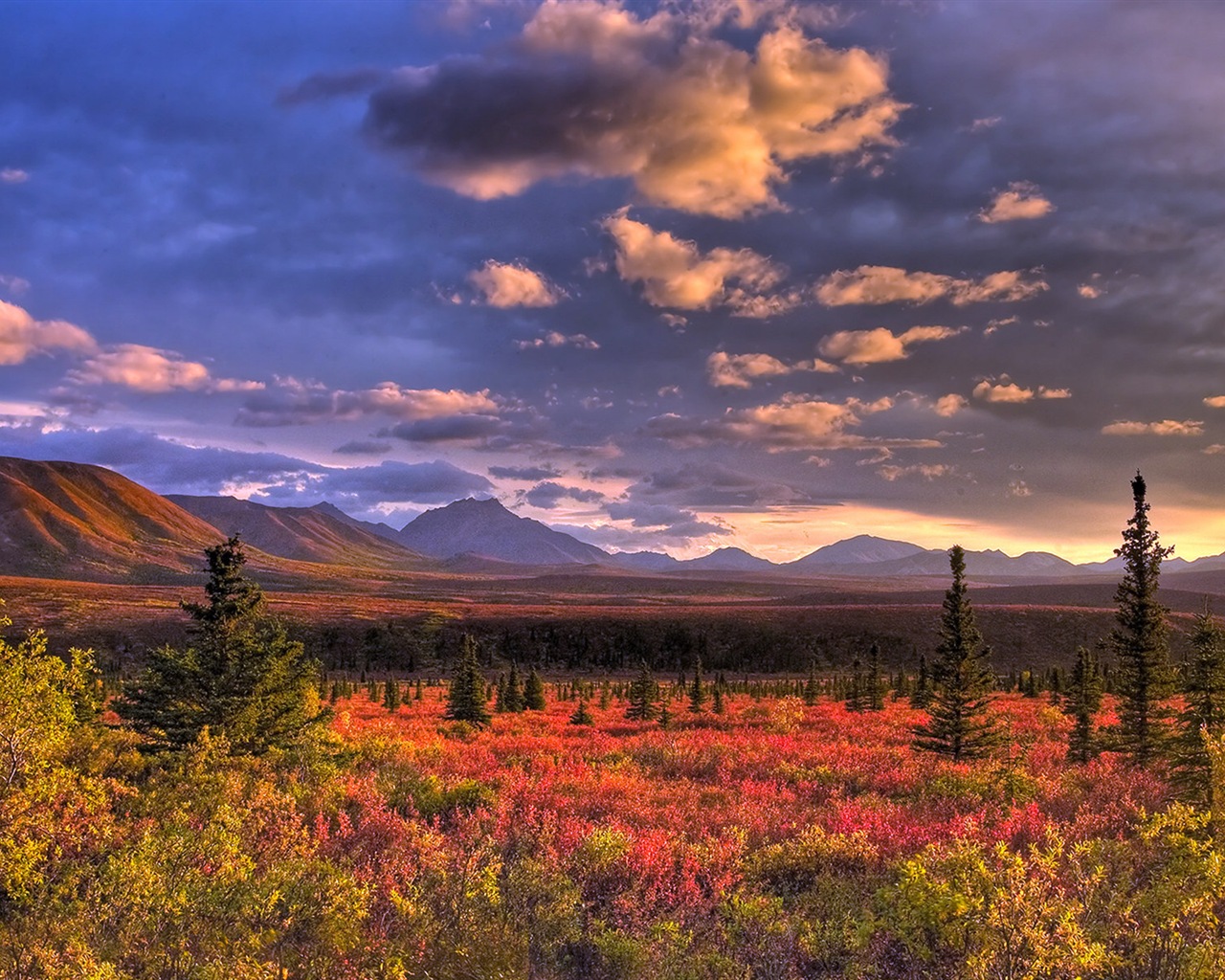 Denali National Park HD Tapety #6 - 1280x1024